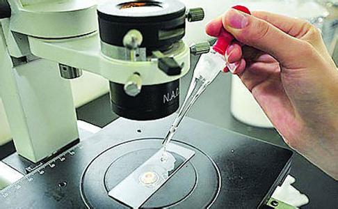 二維色譜、基因測(cè)序儀等儀器項(xiàng)目獲豫科技發(fā)展專項(xiàng)資金支持